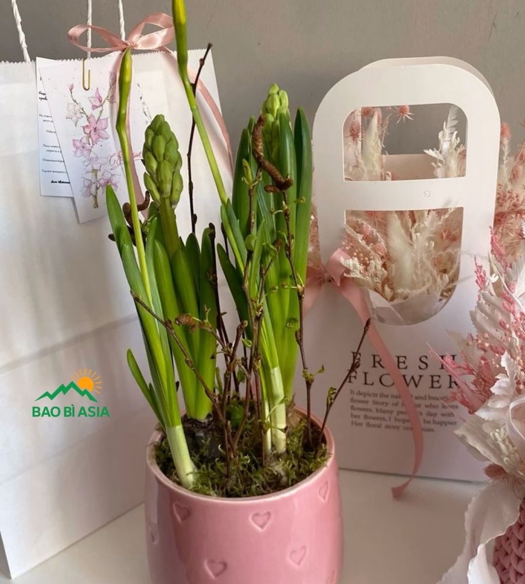 Túi giấy Kraft trắng 2