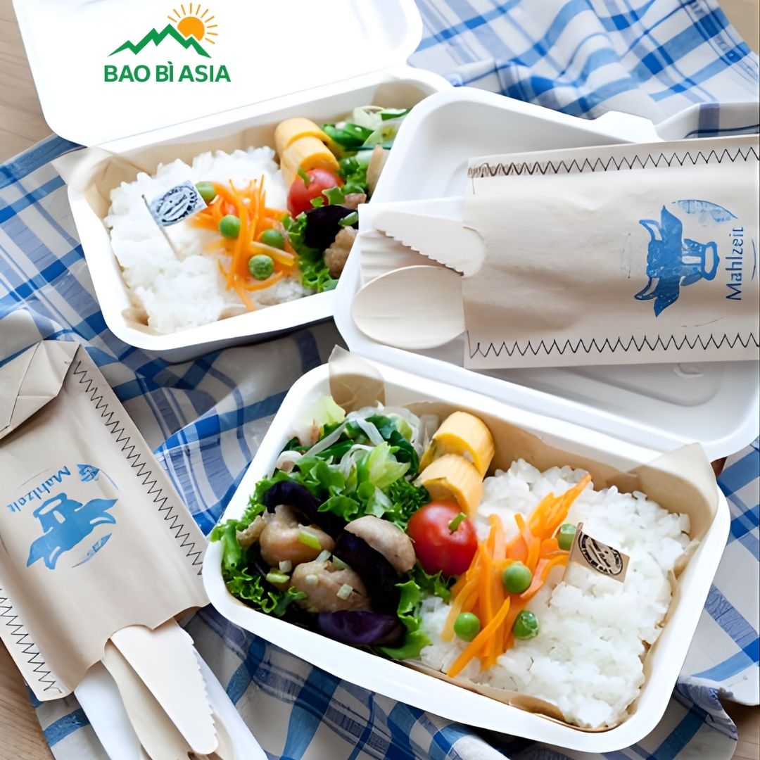 Bao bì thực phẩm từ bã mía 2