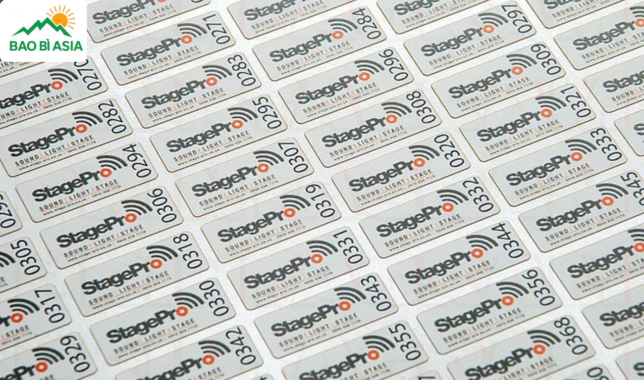 Đặc điểm cơ bản