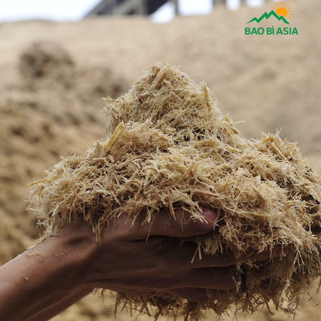 Đặc điểm của bã mía