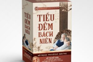 Mẫu hộp giấy tham khảo 17