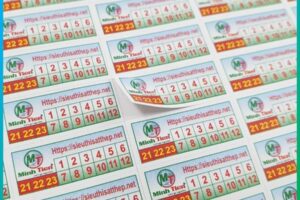 Mẫu tem bảo hành 31