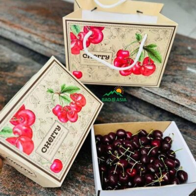 20+ Mẫu Túi Giấy Đựng Hoa Quả, Túi Đựng Hoa Quả Đẹp, Giá Rẻ