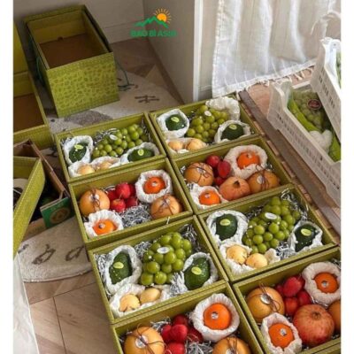 20+ Mẫu Túi Giấy Đựng Hoa Quả, Túi Đựng Hoa Quả Đẹp, Giá Rẻ