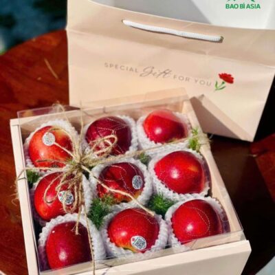 20+ Mẫu Túi Giấy Đựng Hoa Quả, Túi Đựng Hoa Quả Đẹp, Giá Rẻ