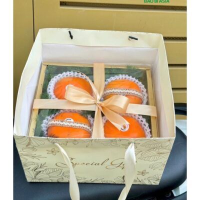 20+ Mẫu Túi Giấy Đựng Hoa Quả, Túi Đựng Hoa Quả Đẹp, Giá Rẻ