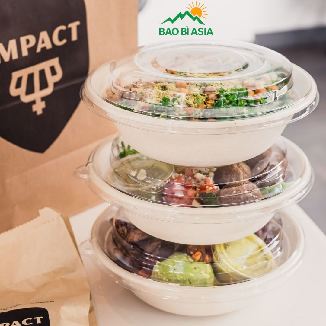 Sản phẩm từ bã mía 2