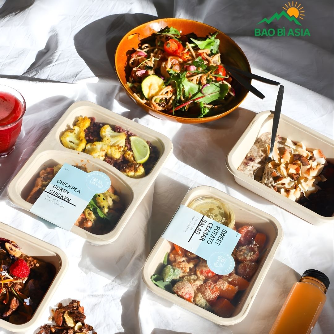 Sản phẩm từ bã mía 3