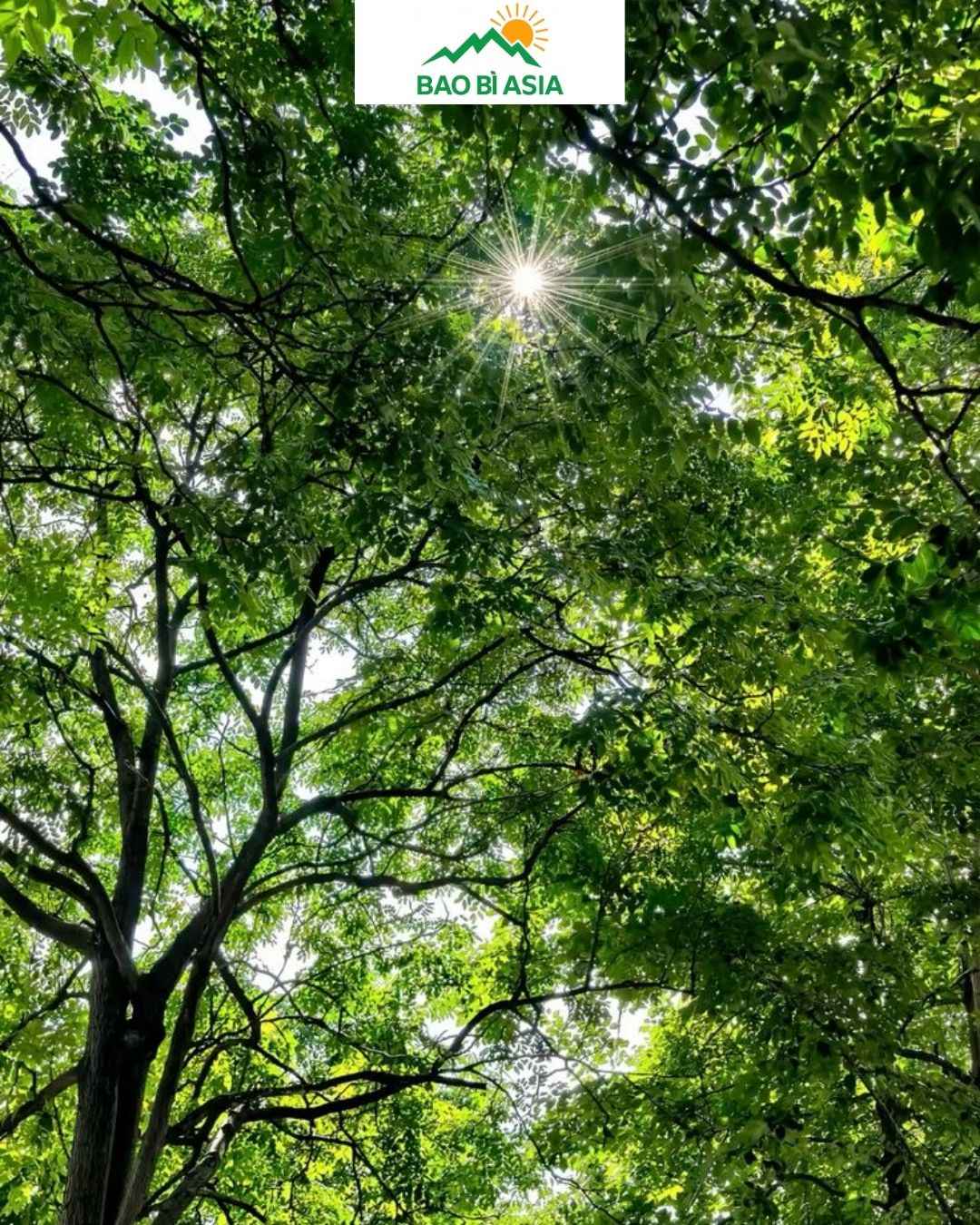 Thiên nhiên trong lành 3