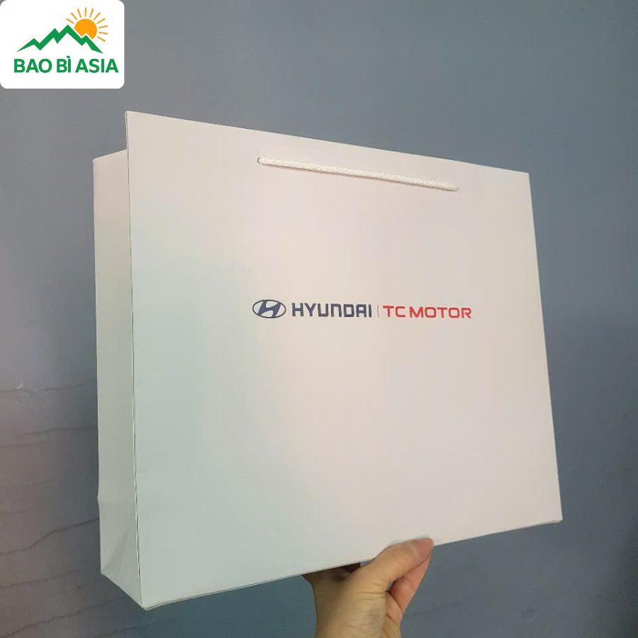 Túi giấy đẹp mẫu 28