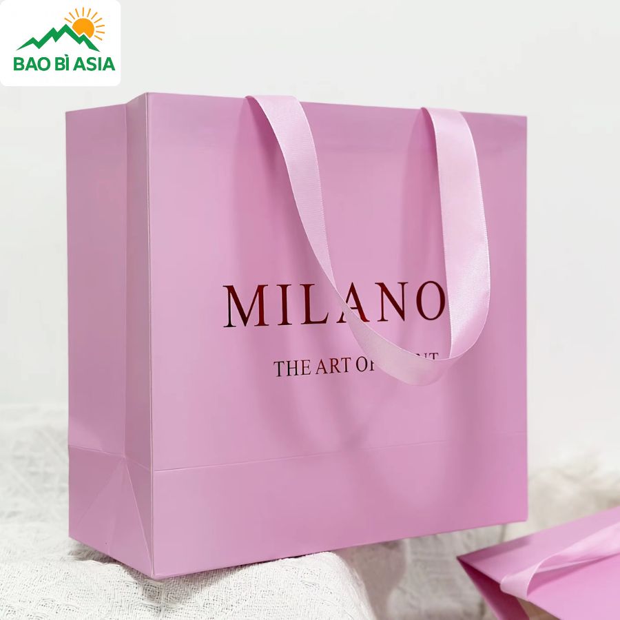 Túi giấy đẹp mẫu 29