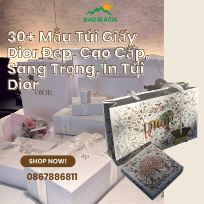 30+ Mẫu Túi Giấy Dior Đẹp, Cao Cấp, Sang Trọng, In Túi Dior