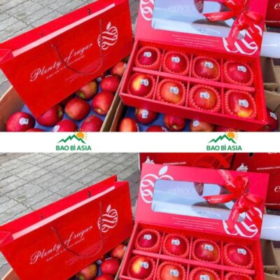 20+ Mẫu Túi Giấy Đựng Hoa Quả, Túi Đựng Hoa Quả Đẹp, Giá Rẻ