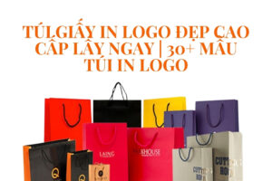 Túi giấy in logo