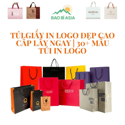 Túi giấy in logo