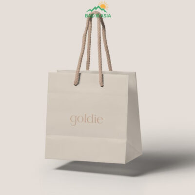 Túi Giấy In Logo Đẹp Cao Cấp Lấy Ngay | 30+ Mẫu Túi In Logo