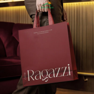 Túi Giấy In Logo Đẹp Cao Cấp Lấy Ngay | 30+ Mẫu Túi In Logo