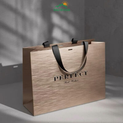 Túi Giấy In Logo Đẹp Cao Cấp Lấy Ngay | 30+ Mẫu Túi In Logo