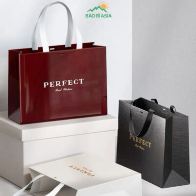 Túi Giấy In Logo Đẹp Cao Cấp Lấy Ngay | 30+ Mẫu Túi In Logo
