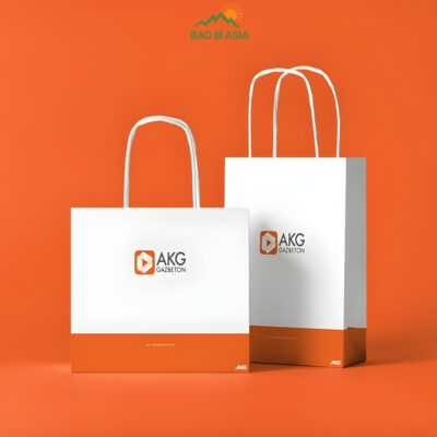 Túi Giấy In Logo Đẹp Cao Cấp Lấy Ngay | 30+ Mẫu Túi In Logo
