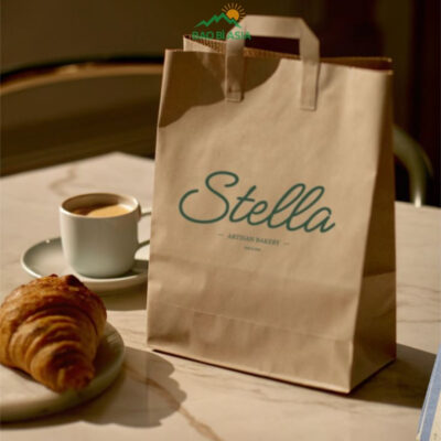 Túi Giấy In Logo Đẹp Cao Cấp Lấy Ngay | 30+ Mẫu Túi In Logo