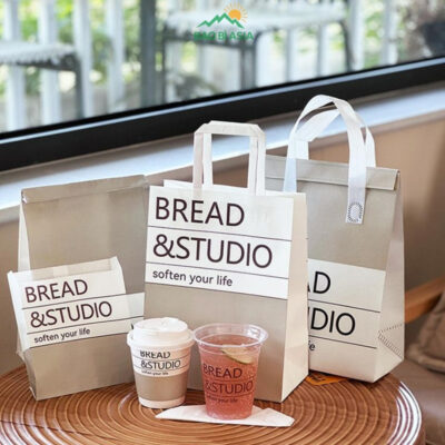 Túi Giấy In Logo Đẹp Cao Cấp Lấy Ngay | 30+ Mẫu Túi In Logo