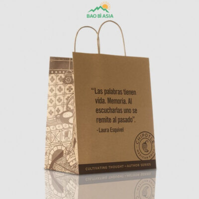 Túi Giấy In Logo Đẹp Cao Cấp Lấy Ngay | 30+ Mẫu Túi In Logo