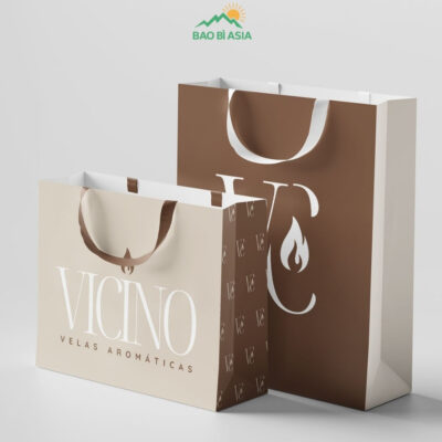 Túi Giấy In Logo Đẹp Cao Cấp Lấy Ngay | 30+ Mẫu Túi In Logo