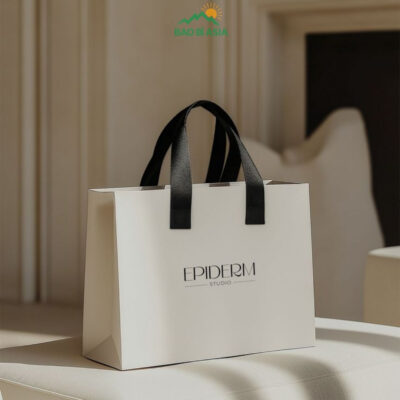Túi Giấy In Logo Đẹp Cao Cấp Lấy Ngay | 30+ Mẫu Túi In Logo