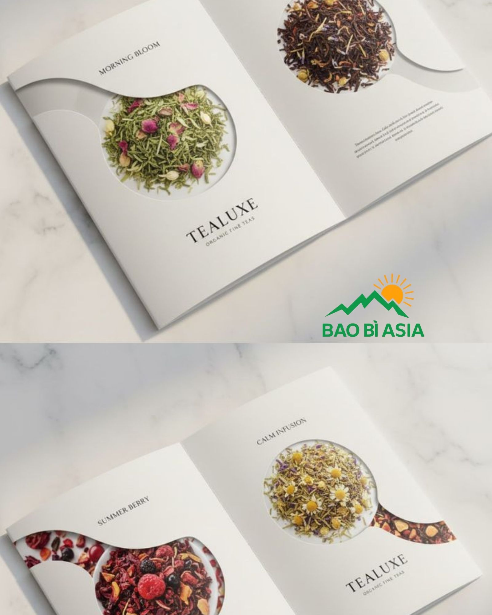 Tờ quảng bá sản phẩm 1