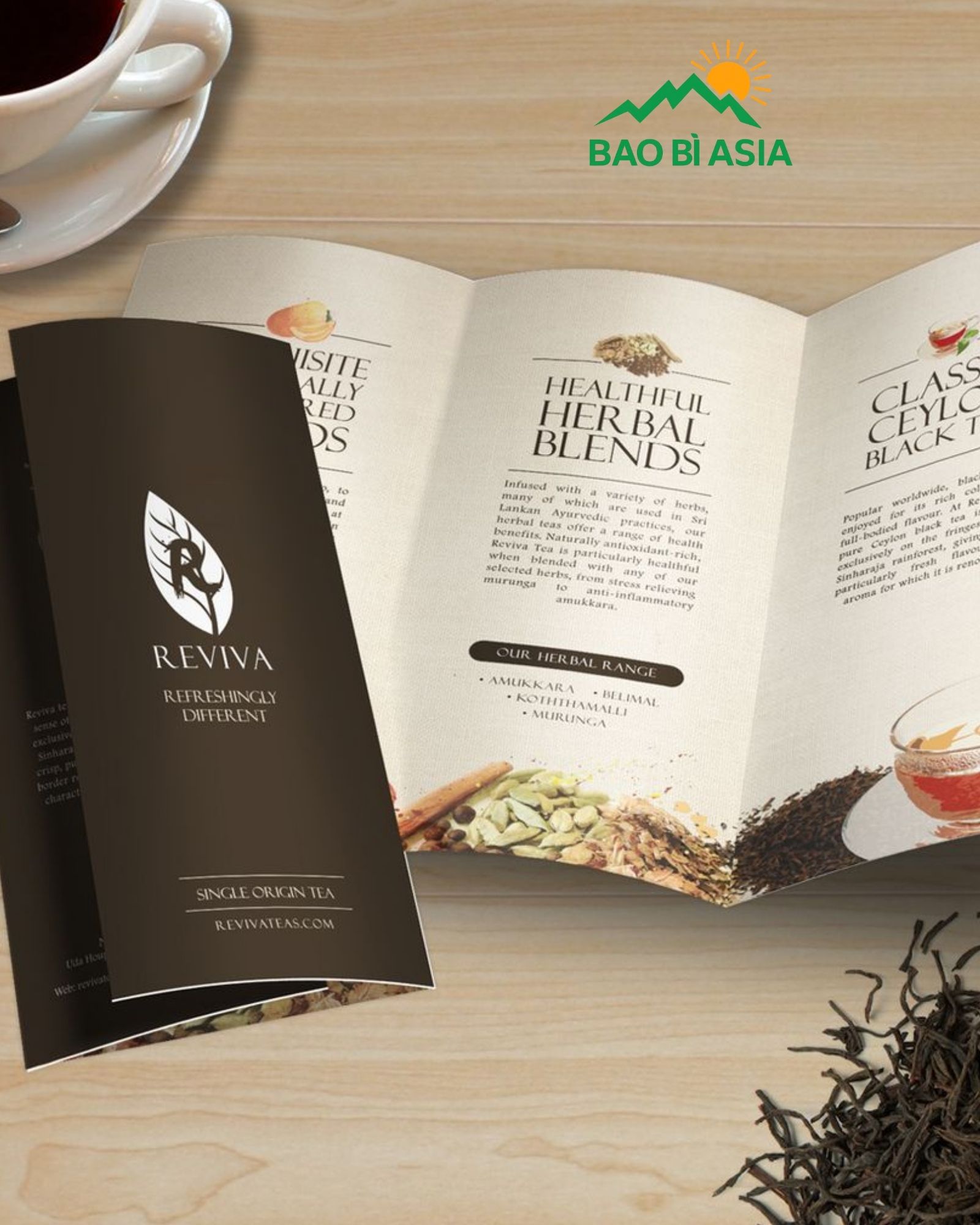 Tờ quảng bá sản phẩm 6