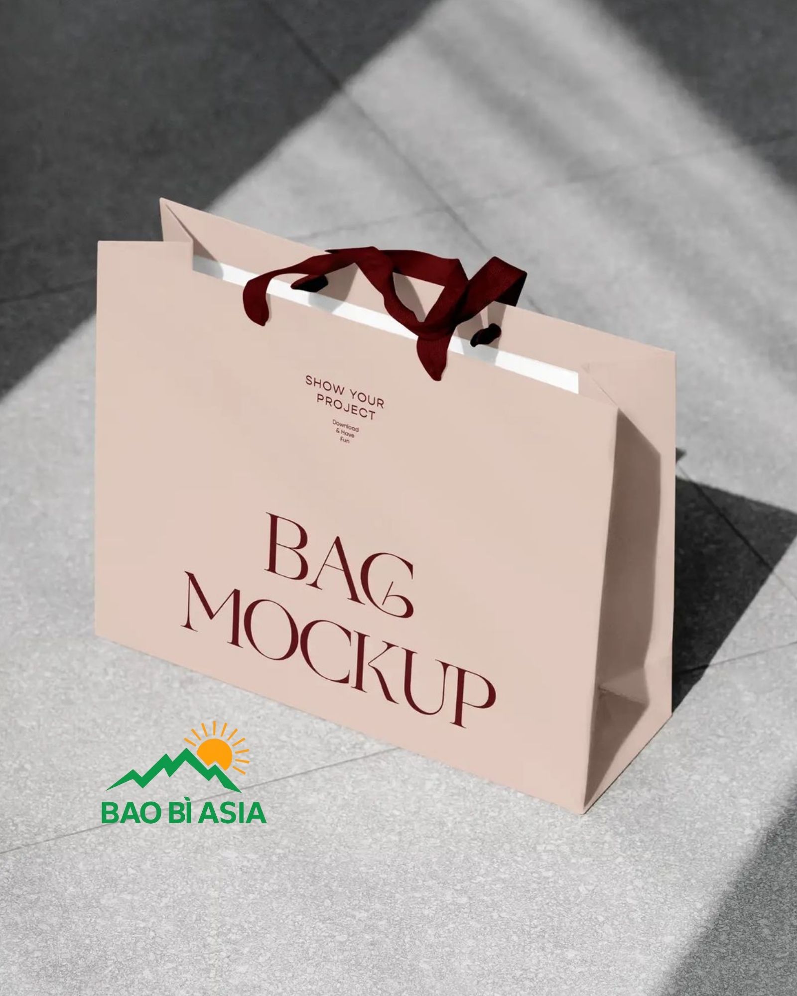 Túi giấy couche 1