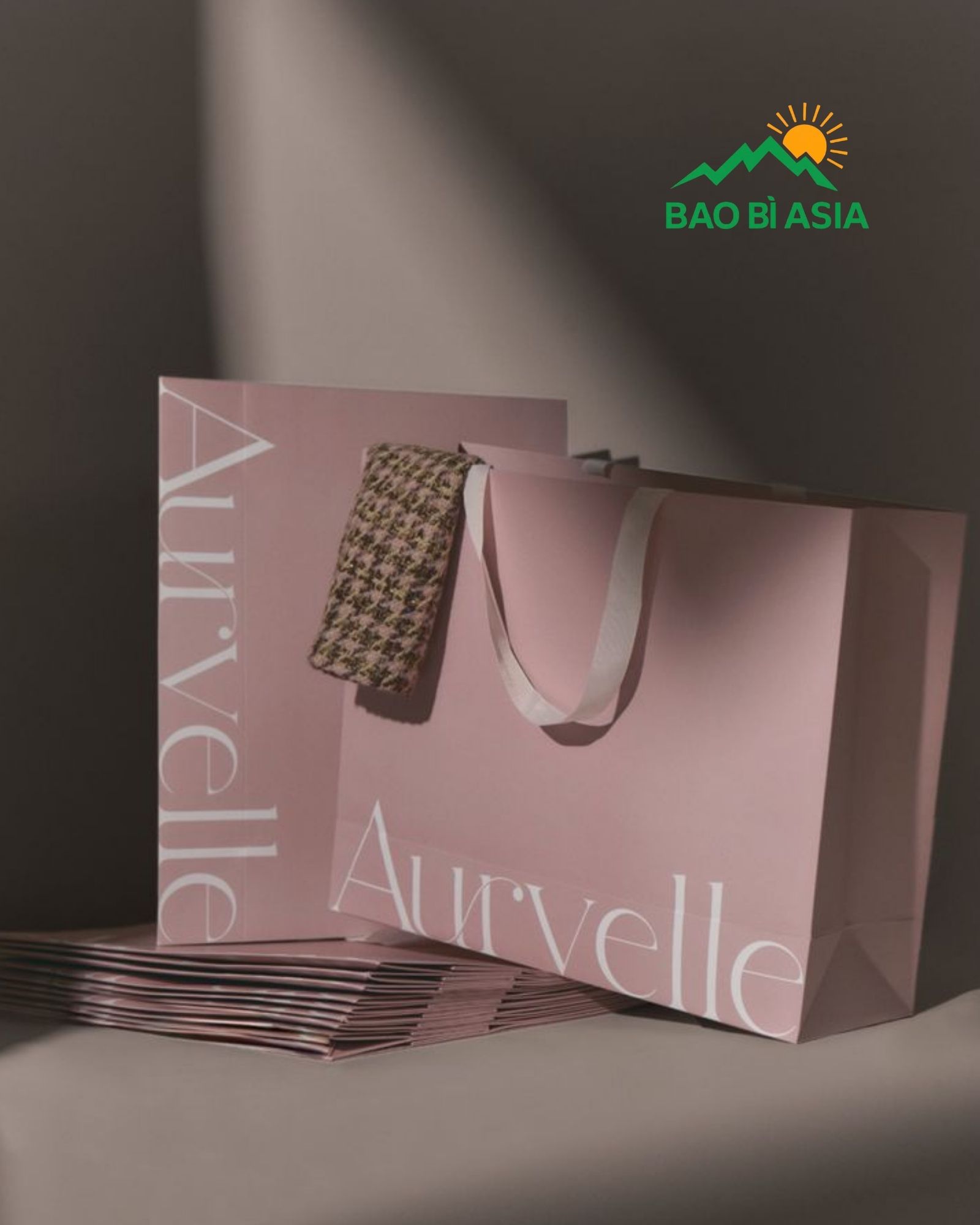 Túi giấy couche 10