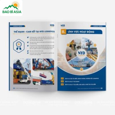 In Catalogue Chất Lượng, Đẹp, In Nhanh Lấy Ngay Giá Rẻ Tại TPHCM