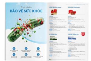 Catalogue khác 5