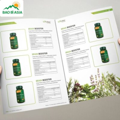 In Catalogue Chất Lượng, Đẹp, In Nhanh Lấy Ngay Giá Rẻ Tại TPHCM