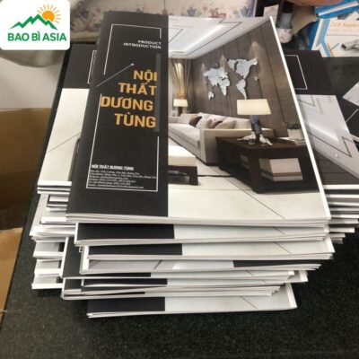 In Catalogue Chất Lượng, Đẹp, In Nhanh Lấy Ngay Giá Rẻ Tại TPHCM