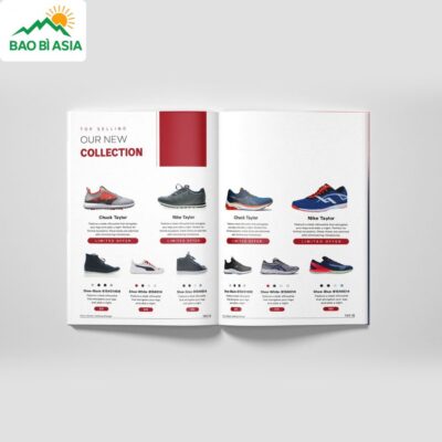 In Catalogue Chất Lượng, Đẹp, In Nhanh Lấy Ngay Giá Rẻ Tại TPHCM