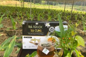 Mẫu tem trà đẹp 22