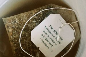 Mẫu tem trà đẹp 26