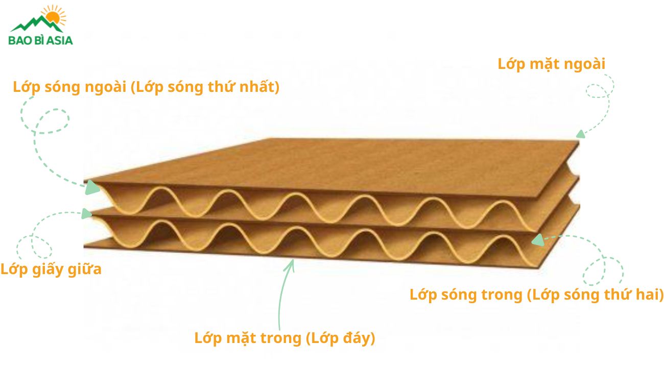 Cấu tạo