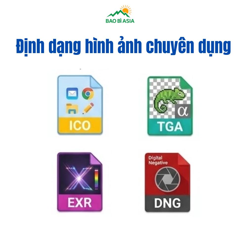 Định dạng hình ảnh chuyên dụng