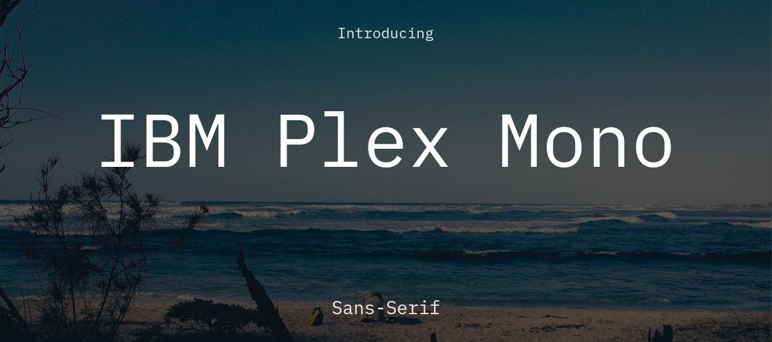 IBM Plex Mono
