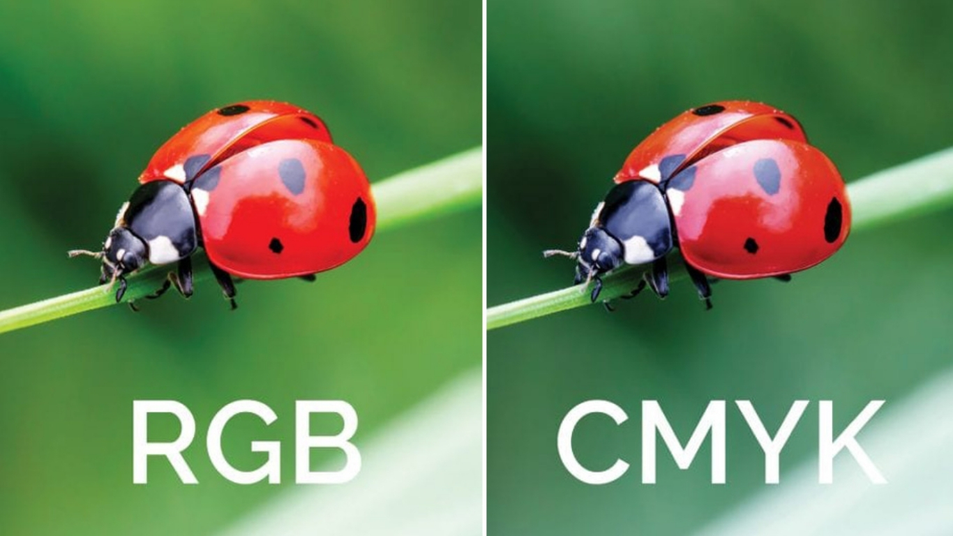 Sự khác nhau giữa RGB và CMYK