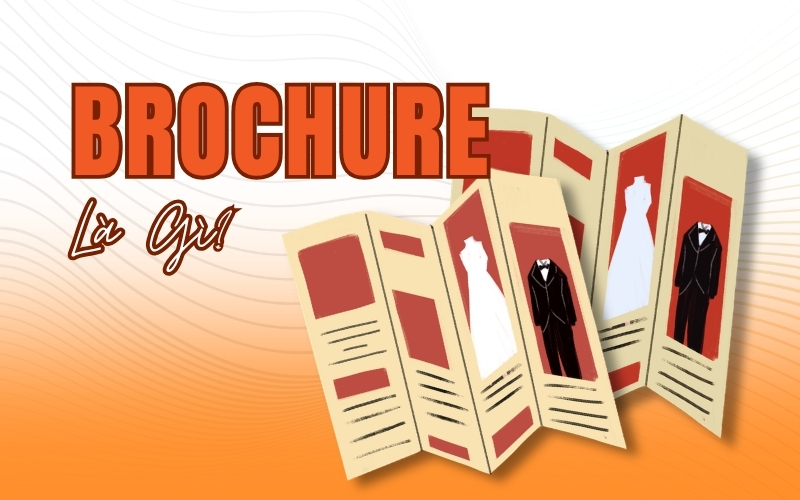 Brochure là gì?