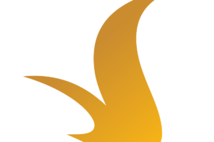 Logo Vinhomes