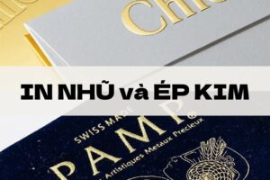 in nhũ là gì