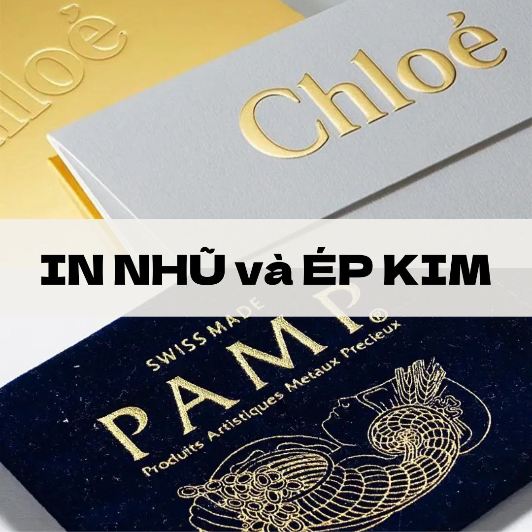 in nhũ là gì