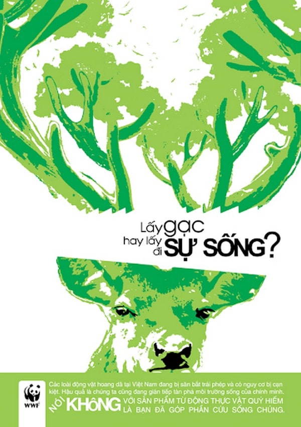 Poster chủ đề bảo vệ rừng và đa dạng sinh học