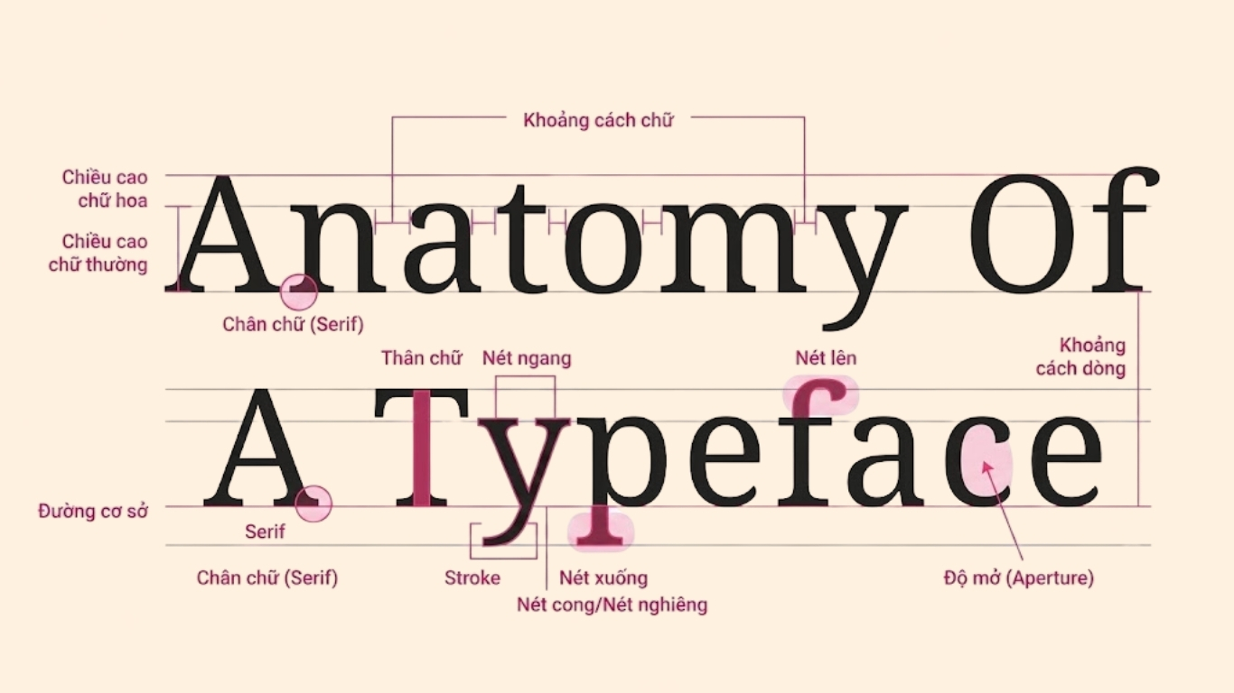 Typography